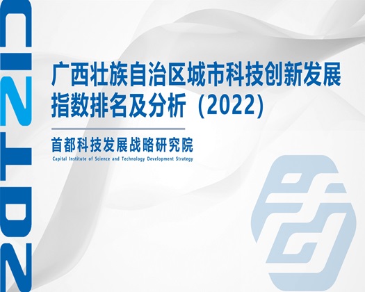 国产桶逼【成果发布】广西壮族自治区城市科技创新发展指数排名及分析（2022）